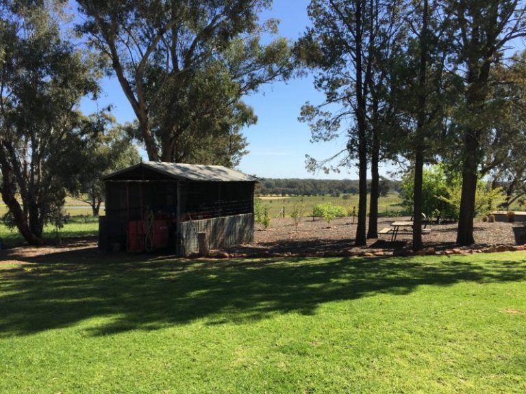 141 River Street, Narrandera NSW 2700 - photo 18