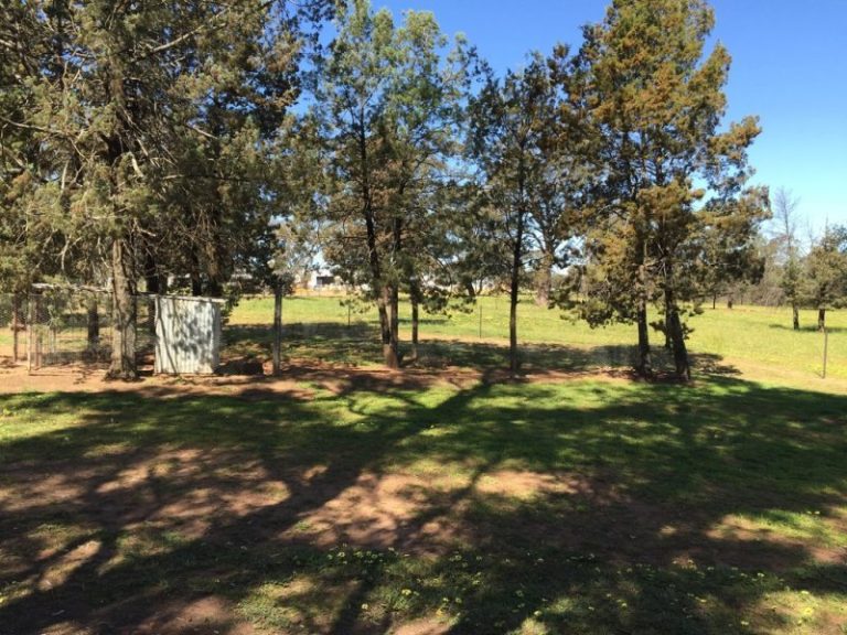 141 River Street, Narrandera NSW 2700 - photo 19
