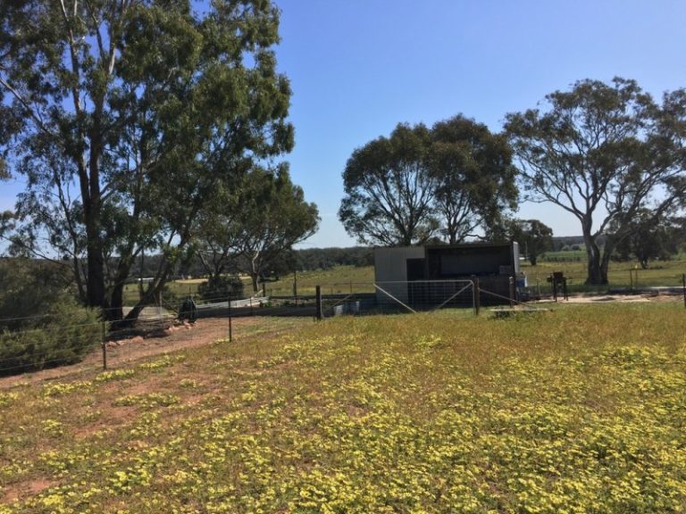 141 River Street, Narrandera NSW 2700 - photo 24