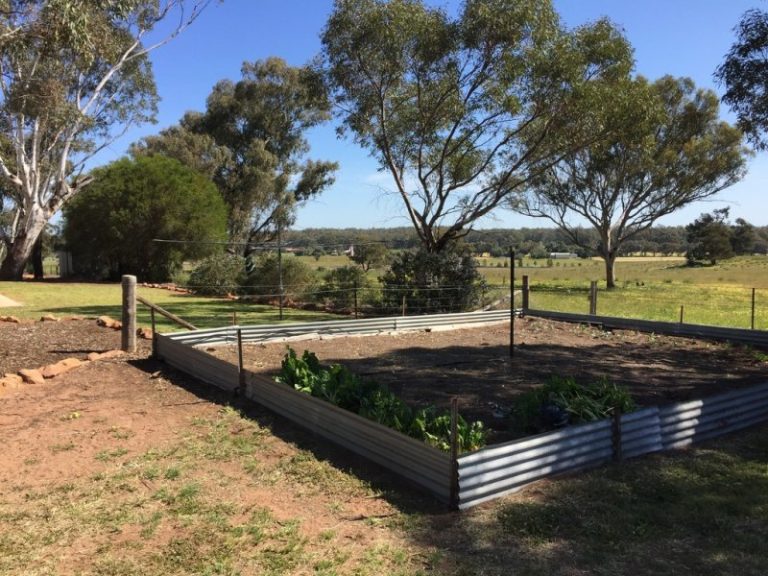 141 River Street, Narrandera NSW 2700 - photo 25