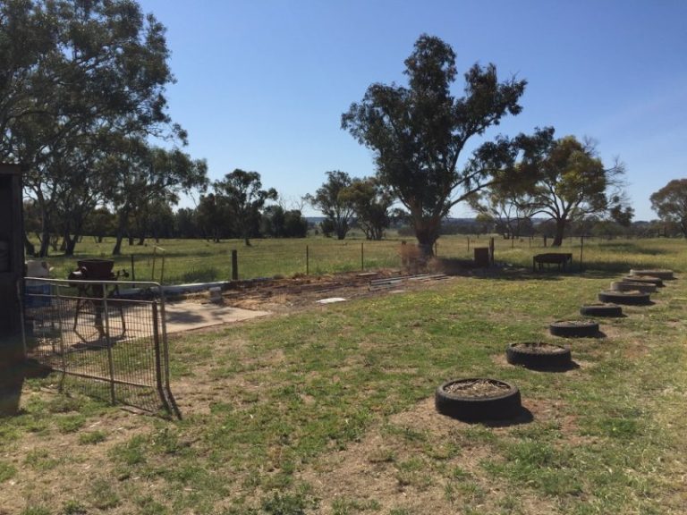141 River Street, Narrandera NSW 2700 - photo 26