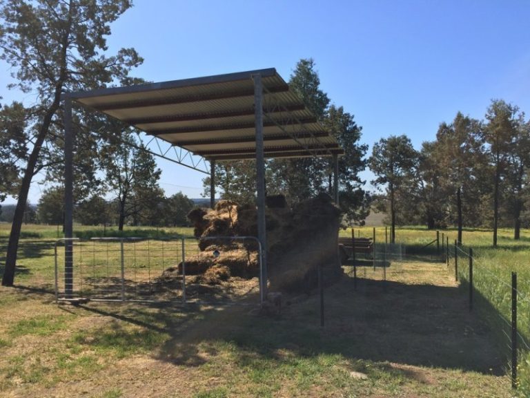 141 River Street, Narrandera NSW 2700 - photo 30
