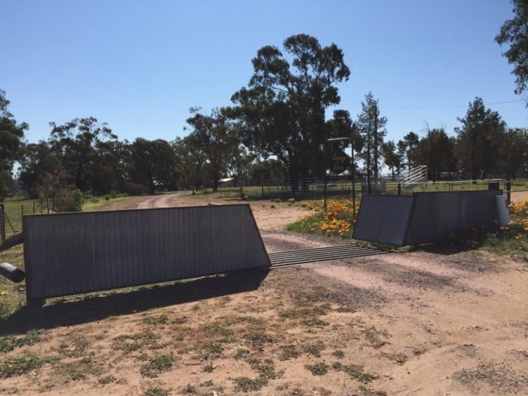 141 River Street, Narrandera NSW 2700 - photo 31