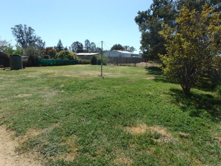 18 Talbot Street, Quandialla NSW 2721 - photo 21