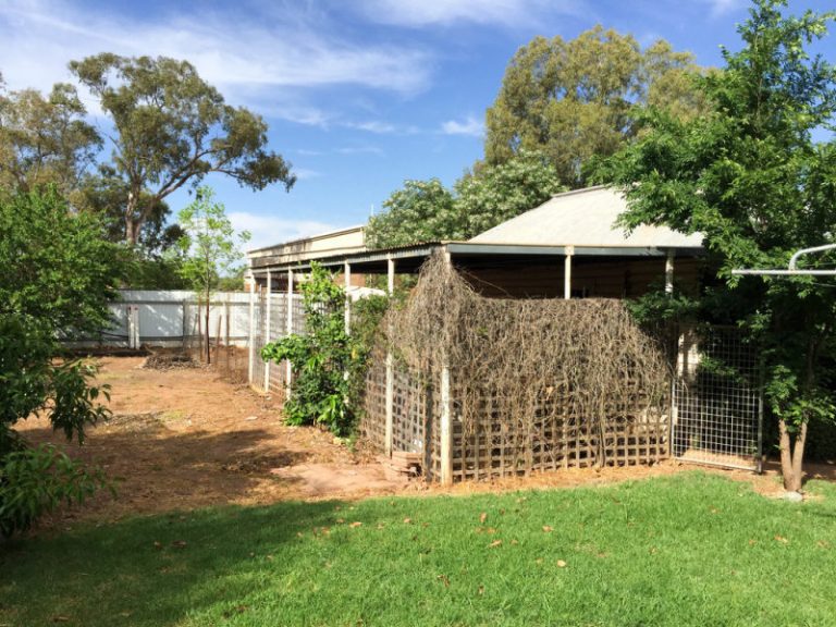 104 Yapunyah Street, Barellan NSW 2665 - photo 16
