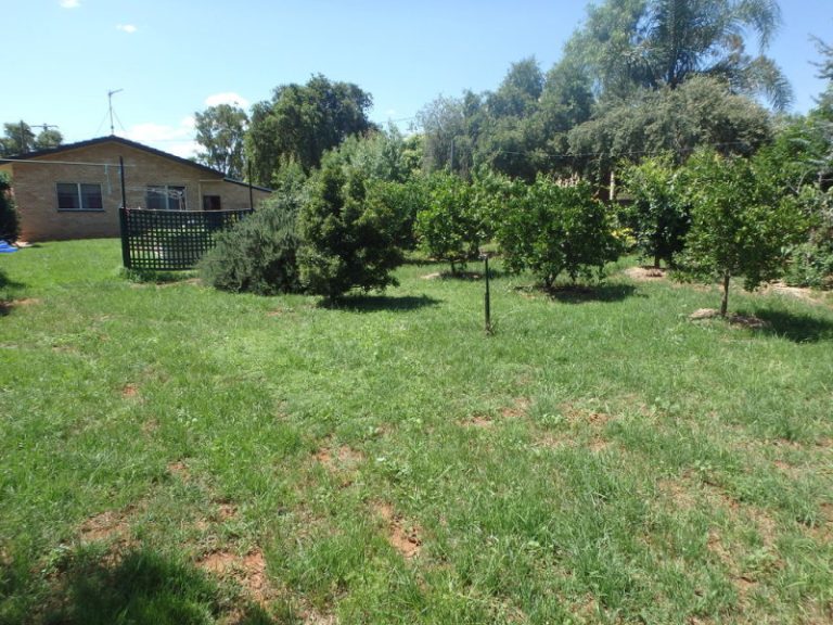 144 Kitchener Road, Temora NSW 2666 - photo 15