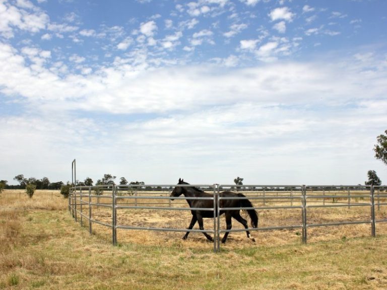 119* Gradys Lane, Wagga Wagga NSW 2650 - photo 13