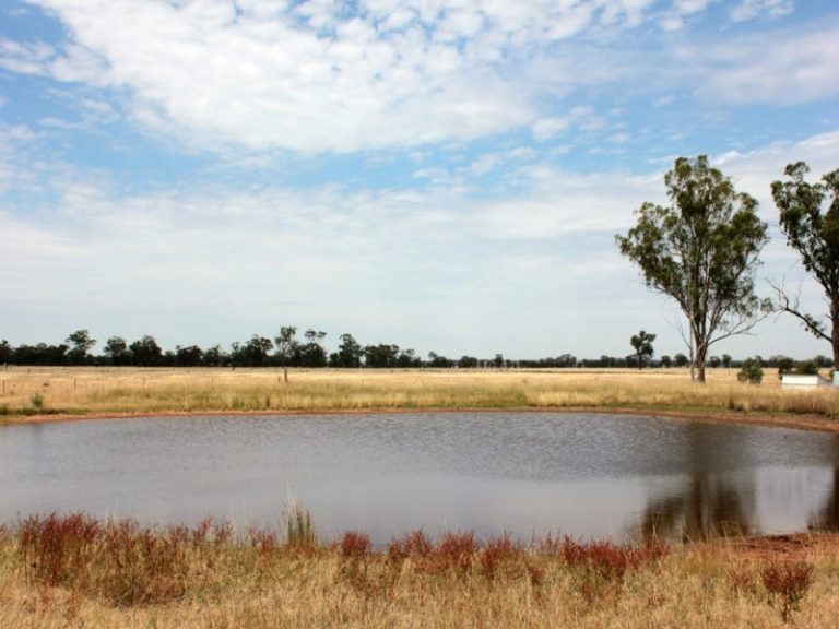 119* Gradys Lane, Wagga Wagga NSW 2650 - photo 14