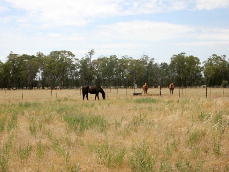 119* Gradys Lane, Wagga Wagga NSW 2650 - photo 21