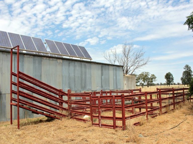 119* Gradys Lane, Wagga Wagga NSW 2650 - photo 23