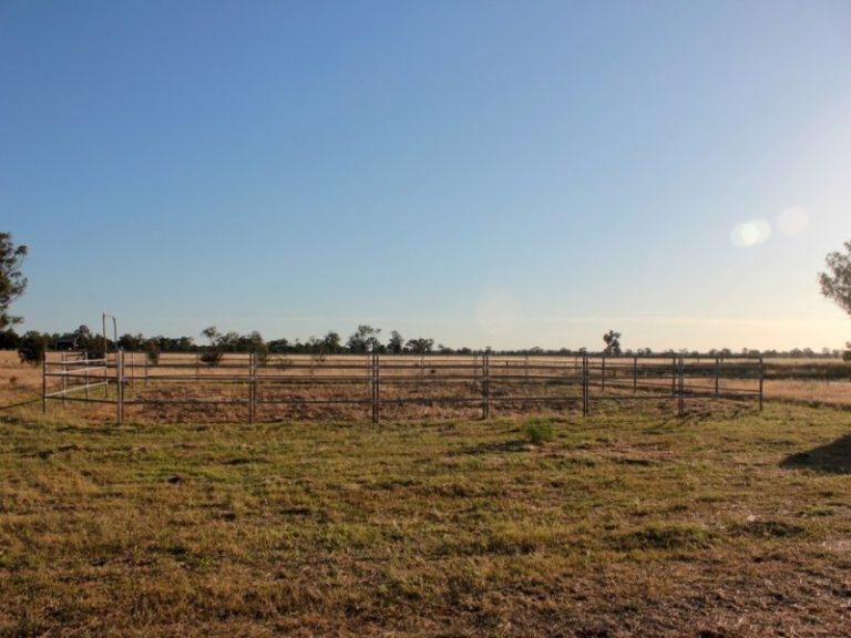 119* Gradys Lane, Wagga Wagga NSW 2650 - photo 24