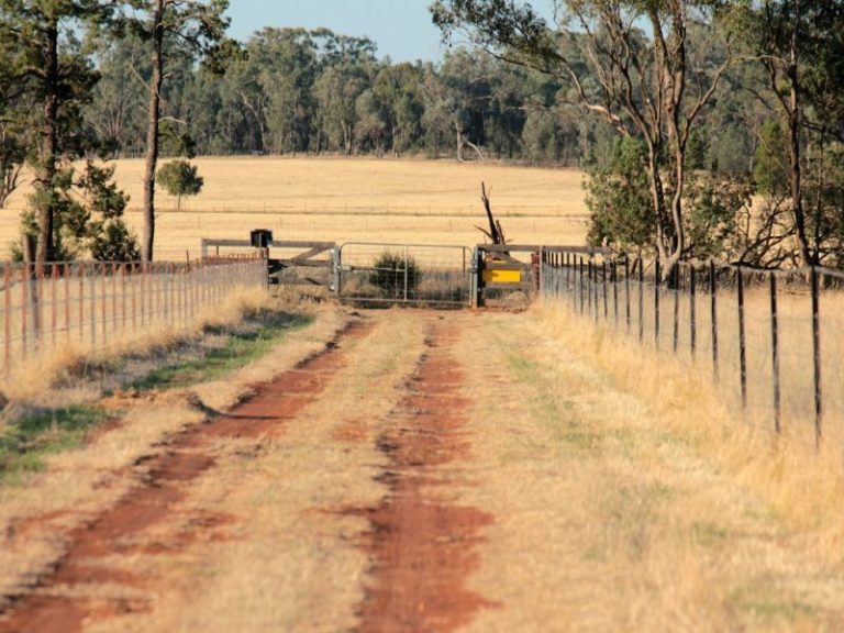 119* Gradys Lane, Wagga Wagga NSW 2650 - photo 25