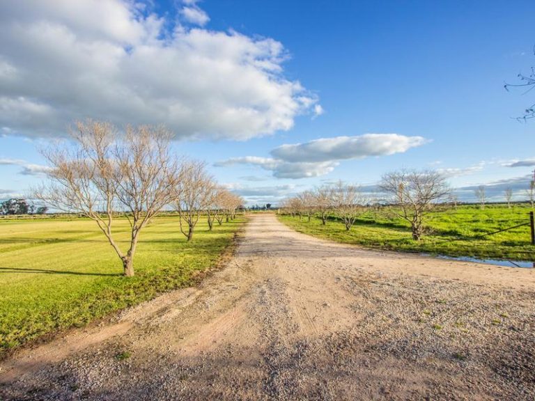 Farm 283B Toorak Road, Leeton NSW 2705 - photo 2
