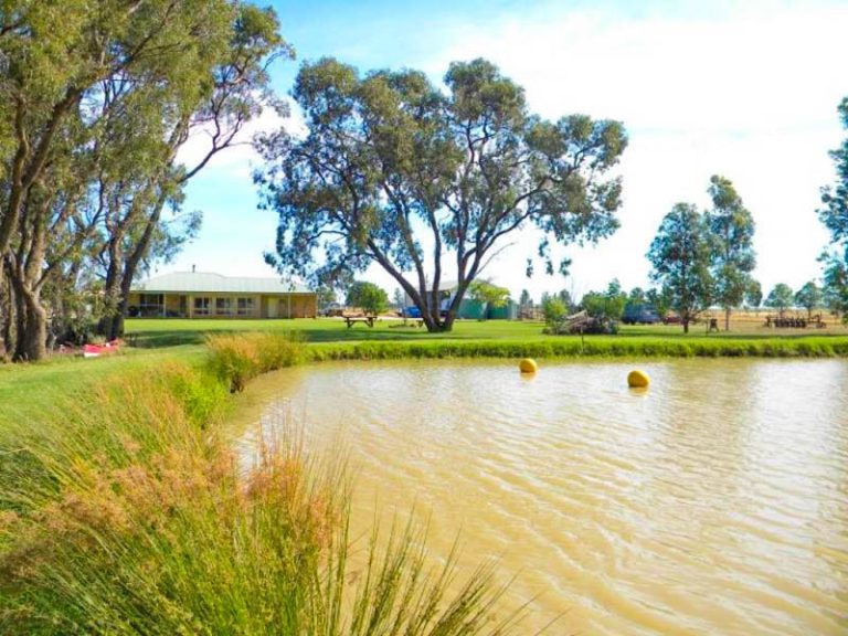 Farm 283B Toorak Road, Leeton NSW 2705 - photo 11