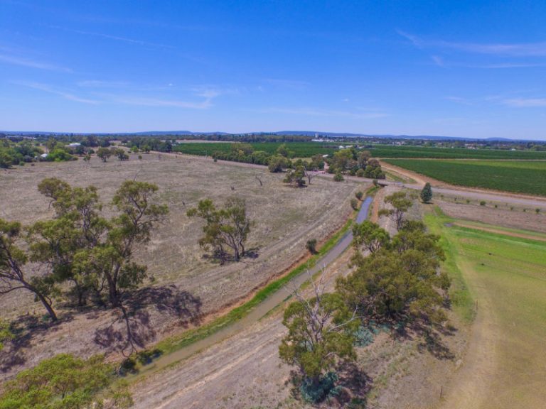 Farm 283B Toorak Road, Leeton NSW 2705 - photo 12