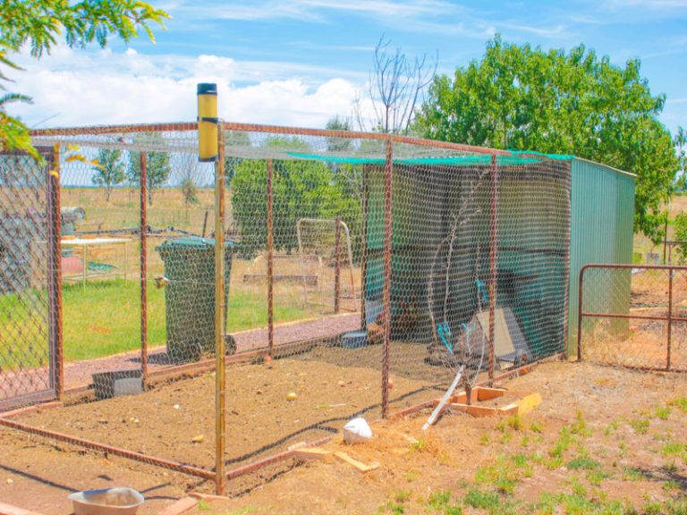 Farm 283B Toorak Road, Leeton NSW 2705 - photo 13