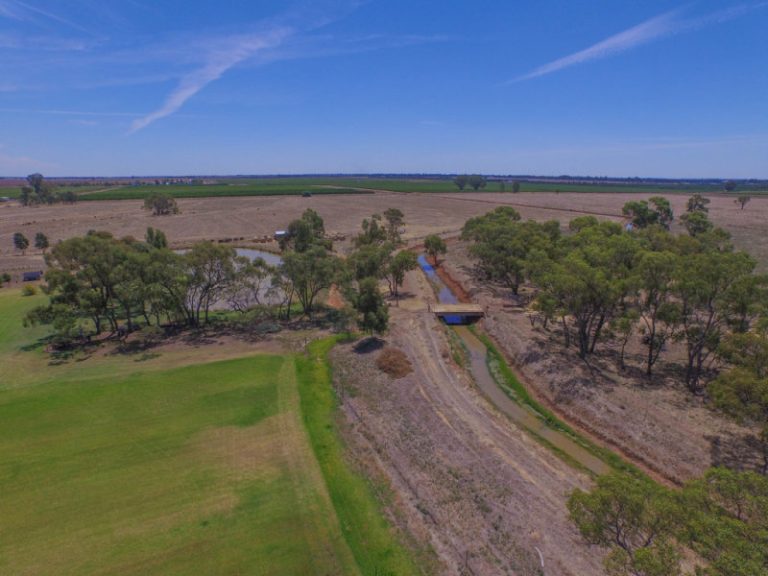 Farm 283B Toorak Road, Leeton NSW 2705 - photo 14