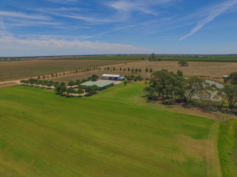 Farm 283B Toorak Road, Leeton NSW 2705 - photo 3