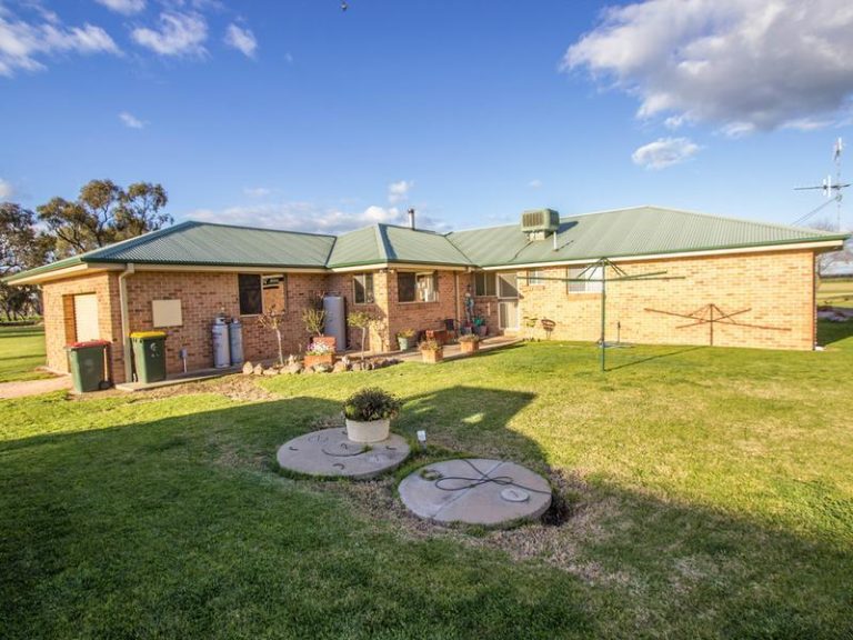 Farm 283B Toorak Road, Leeton NSW 2705 - photo 4