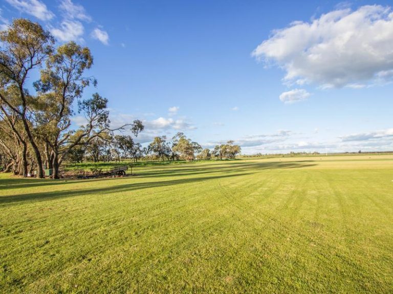 Farm 283B Toorak Road, Leeton NSW 2705 - photo 5