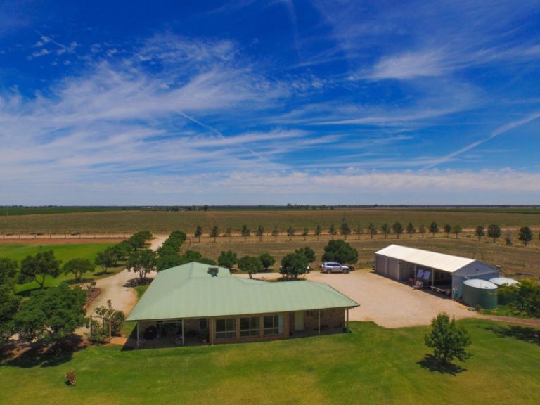 Farm 283B Toorak Road, Leeton NSW 2705 - photo 6
