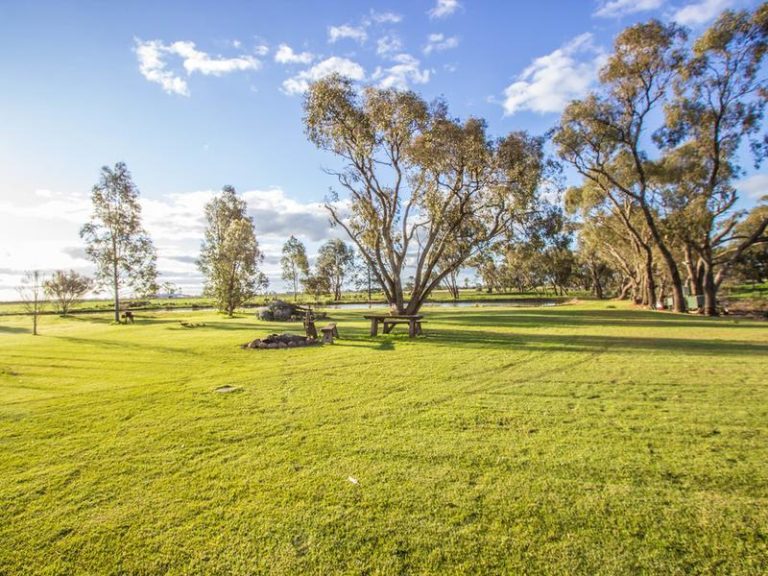 Farm 283B Toorak Road, Leeton NSW 2705 - photo 7