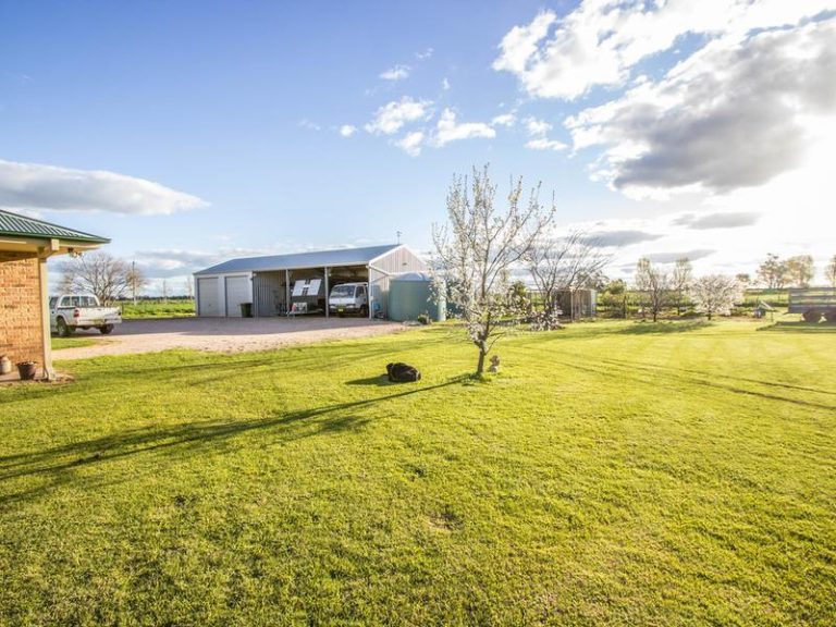 Farm 283B Toorak Road, Leeton NSW 2705 - photo 8