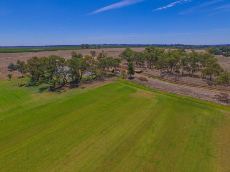 Farm 283B Toorak Road, Leeton NSW 2705 - photo 10