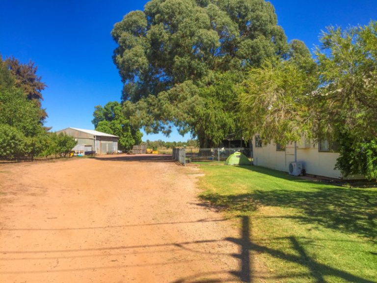 161 Cassia Road, Leeton NSW 2705 - photo 12