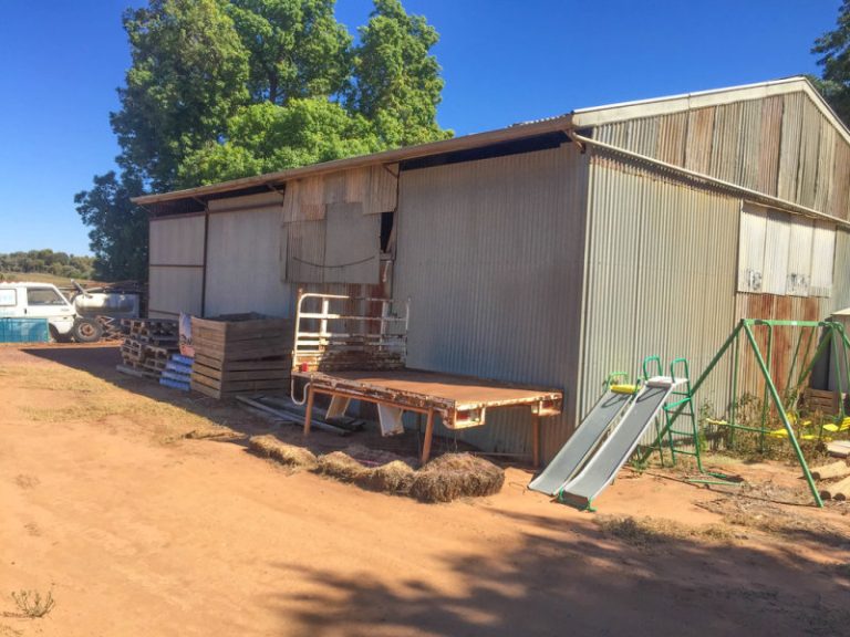 161 Cassia Road, Leeton NSW 2705 - photo 14
