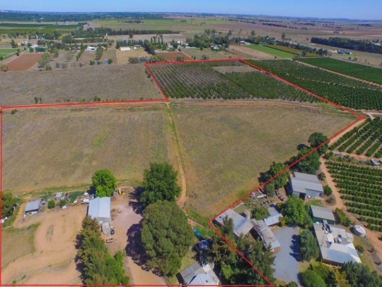 161 Cassia Road, Leeton NSW 2705 - photo 3