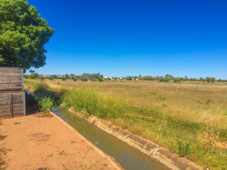 161 Cassia Road, Leeton NSW 2705 - photo 7