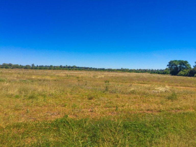 161 Cassia Road, Leeton NSW 2705 - photo 8