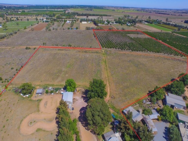 161 Cassia Road, Leeton NSW 2705 - McGrath Riverina