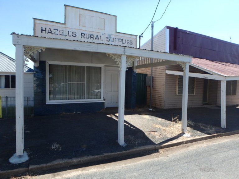 19 Second Street, Quandialla NSW 2721 - photo 18