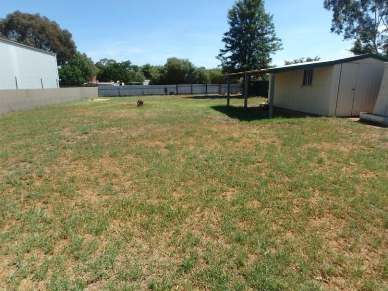 19 Second Street, Quandialla NSW 2721 - photo 19