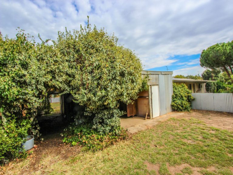 174 Larmer Street, Narrandera NSW 2700 - photo 4