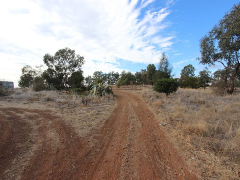 1179 Old Cootamundra Road*, Temora NSW 2666 - photo 12