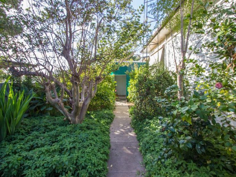 95 Pine Hill Road, Narrandera NSW 2700 - photo 20