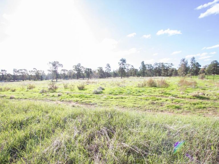 95 Pine Hill Road, Narrandera NSW 2700 - photo 24