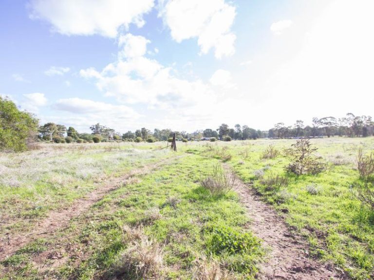 95 Pine Hill Road, Narrandera NSW 2700 - photo 25