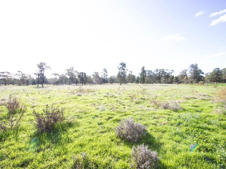 95 Pine Hill Road, Narrandera NSW 2700 - photo 26