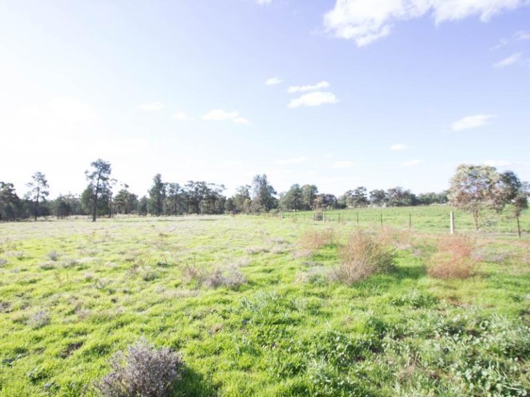 95 Pine Hill Road, Narrandera NSW 2700 - photo 27