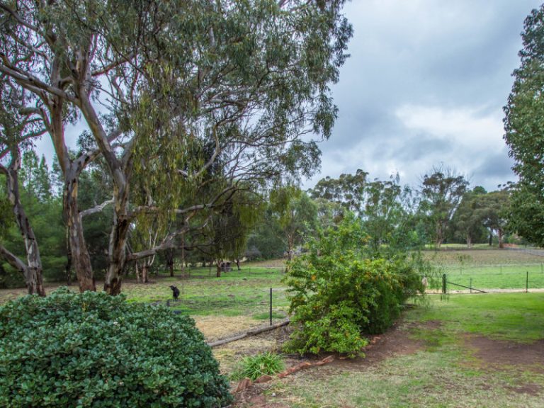 9 Dangar Drive, Narrandera NSW 2700 - photo 9