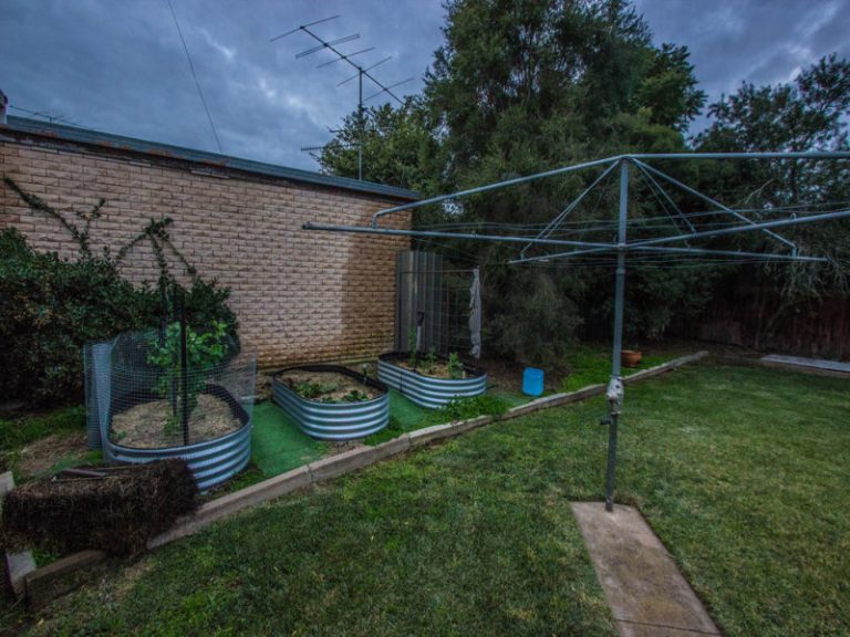 13 Shady Street, Narrandera NSW 2700 - photo 16