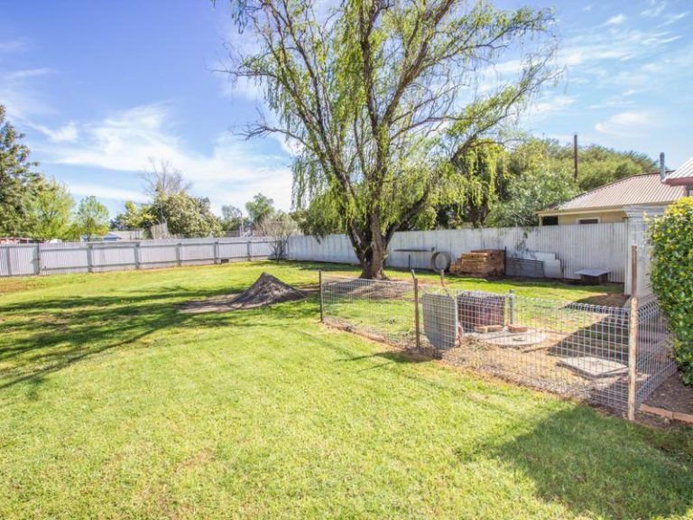 58 Bendee Street, Barellan NSW 2665 - photo 15