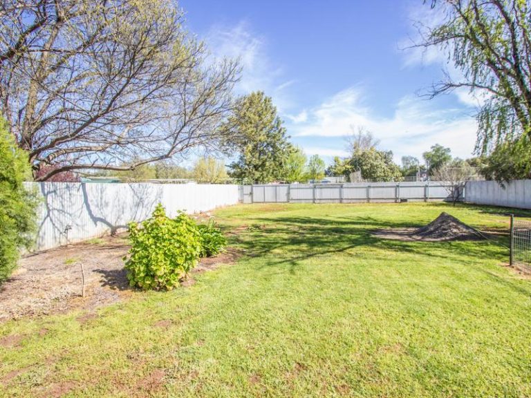 58 Bendee Street, Barellan NSW 2665 - photo 16