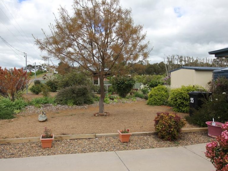 95 Long Street, Boorowa NSW 2586 - photo 15