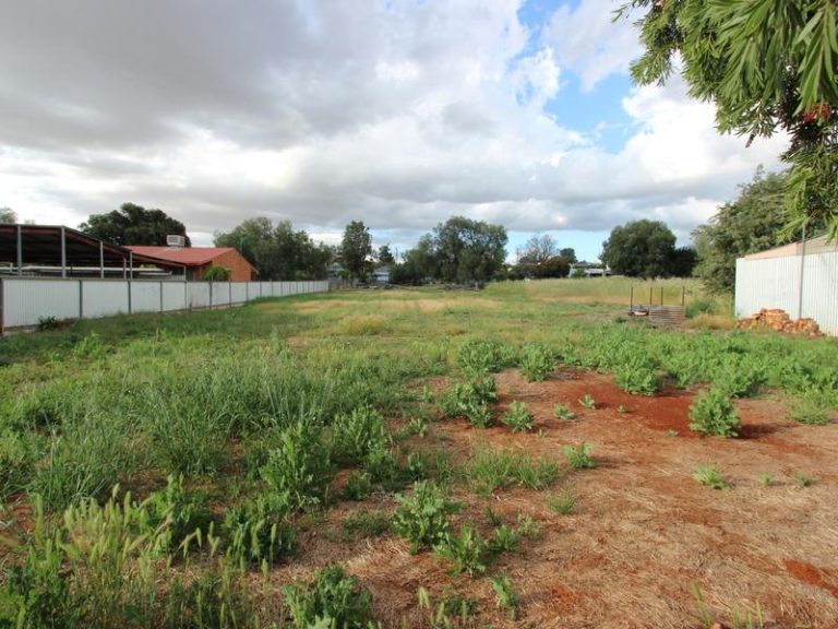 157 Britannia Street, Temora NSW 2666 - photo 20