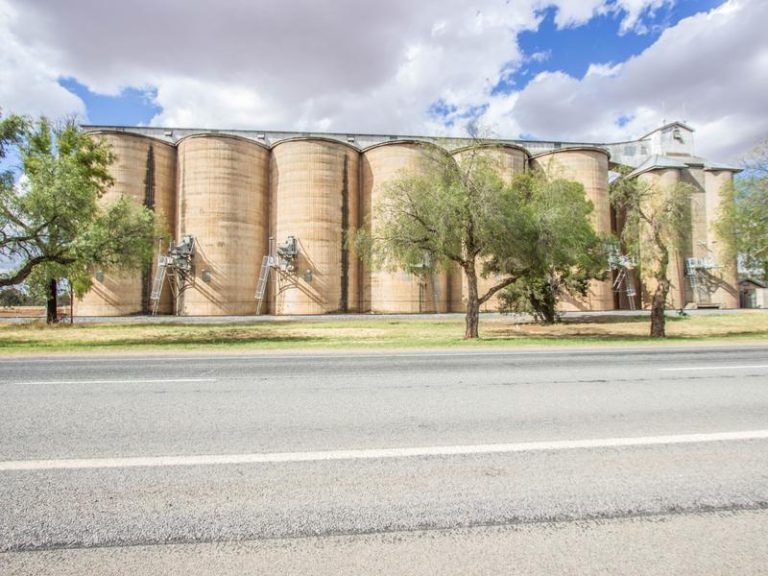 114 Yapunyah Street, Barellan NSW 2665 - photo 12